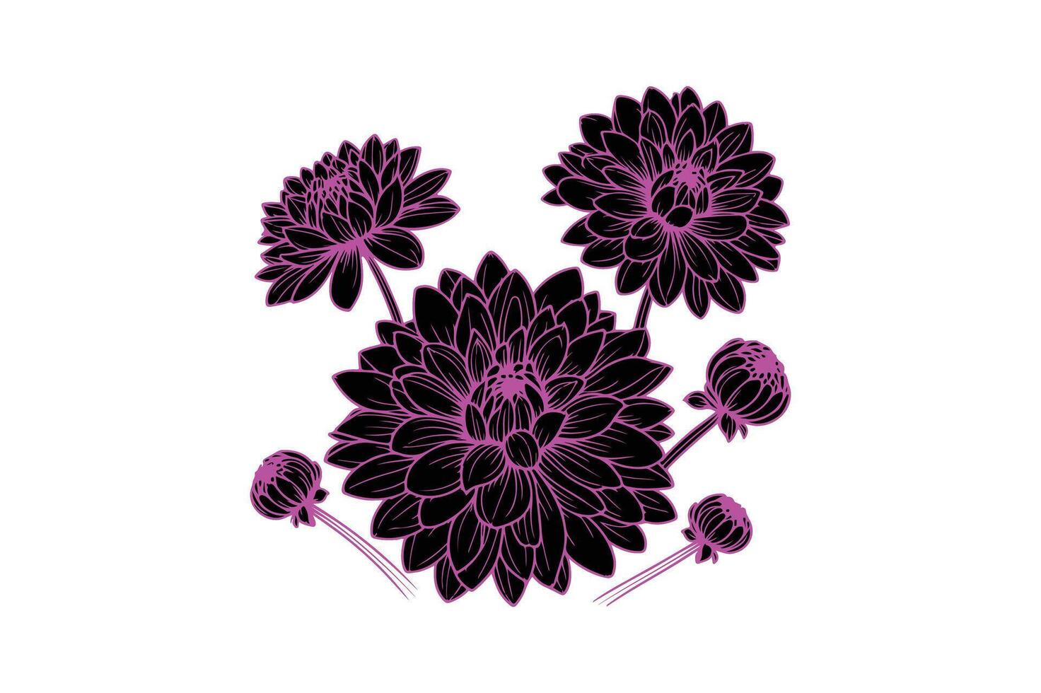 a row of dahlia with open illustration vector