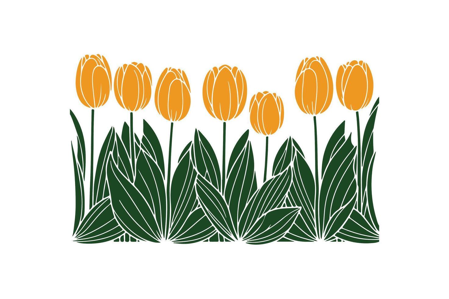 a row of tulip with open illustration vector