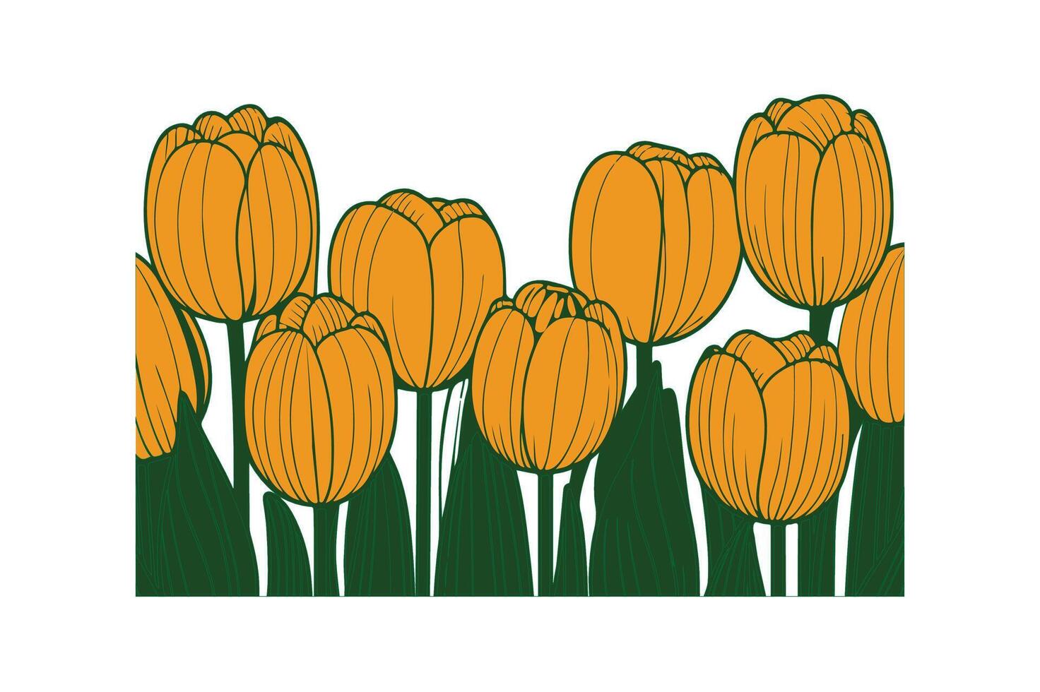 a row of tulip with open illustration vector