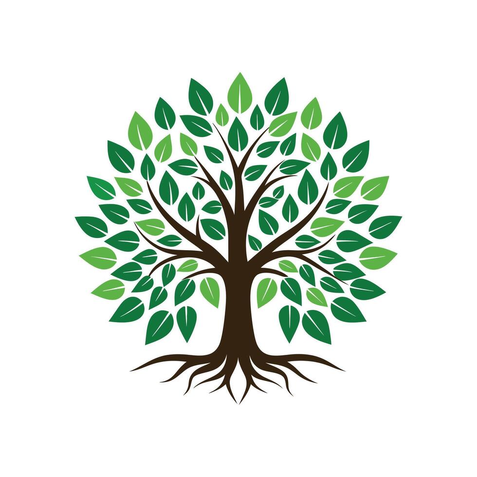 A tree with leaves and roots illustration, color logo, icon vector