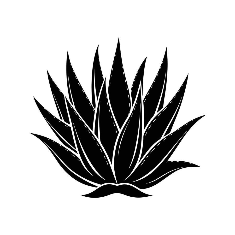 aloe vera silhouette illustration image vector