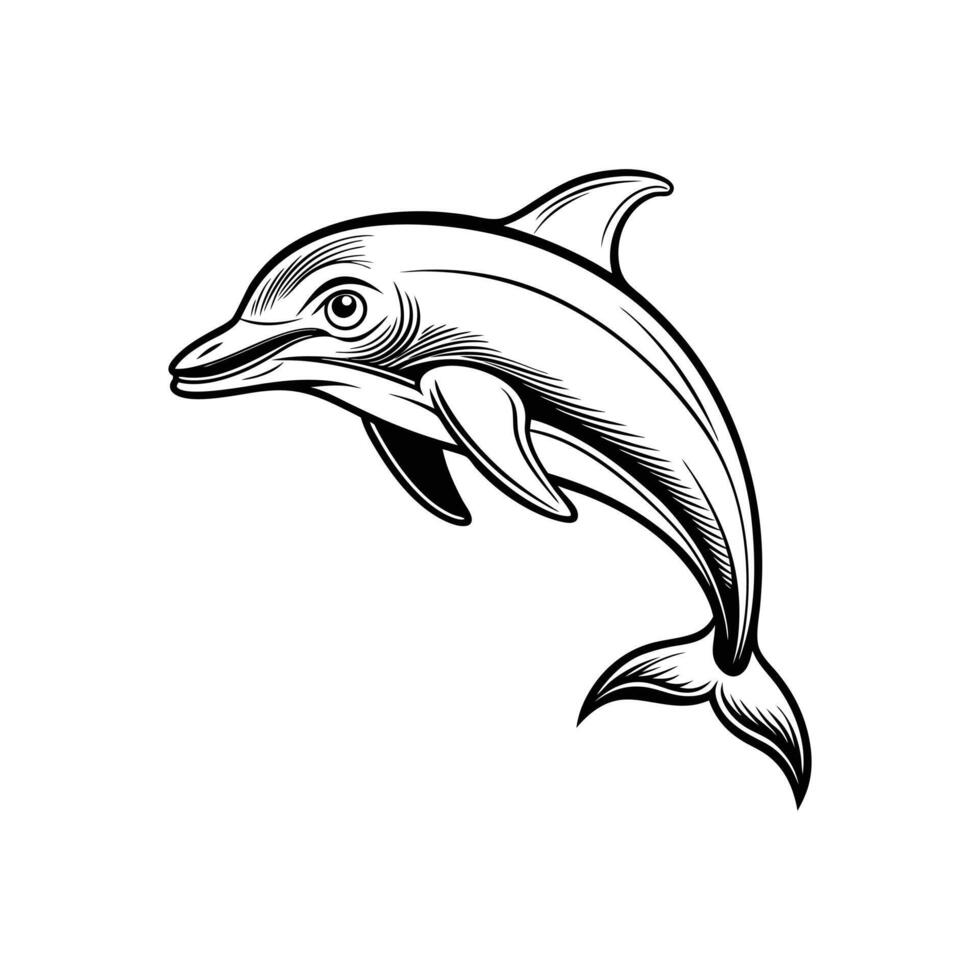 Dolphin silhouette design arts vector