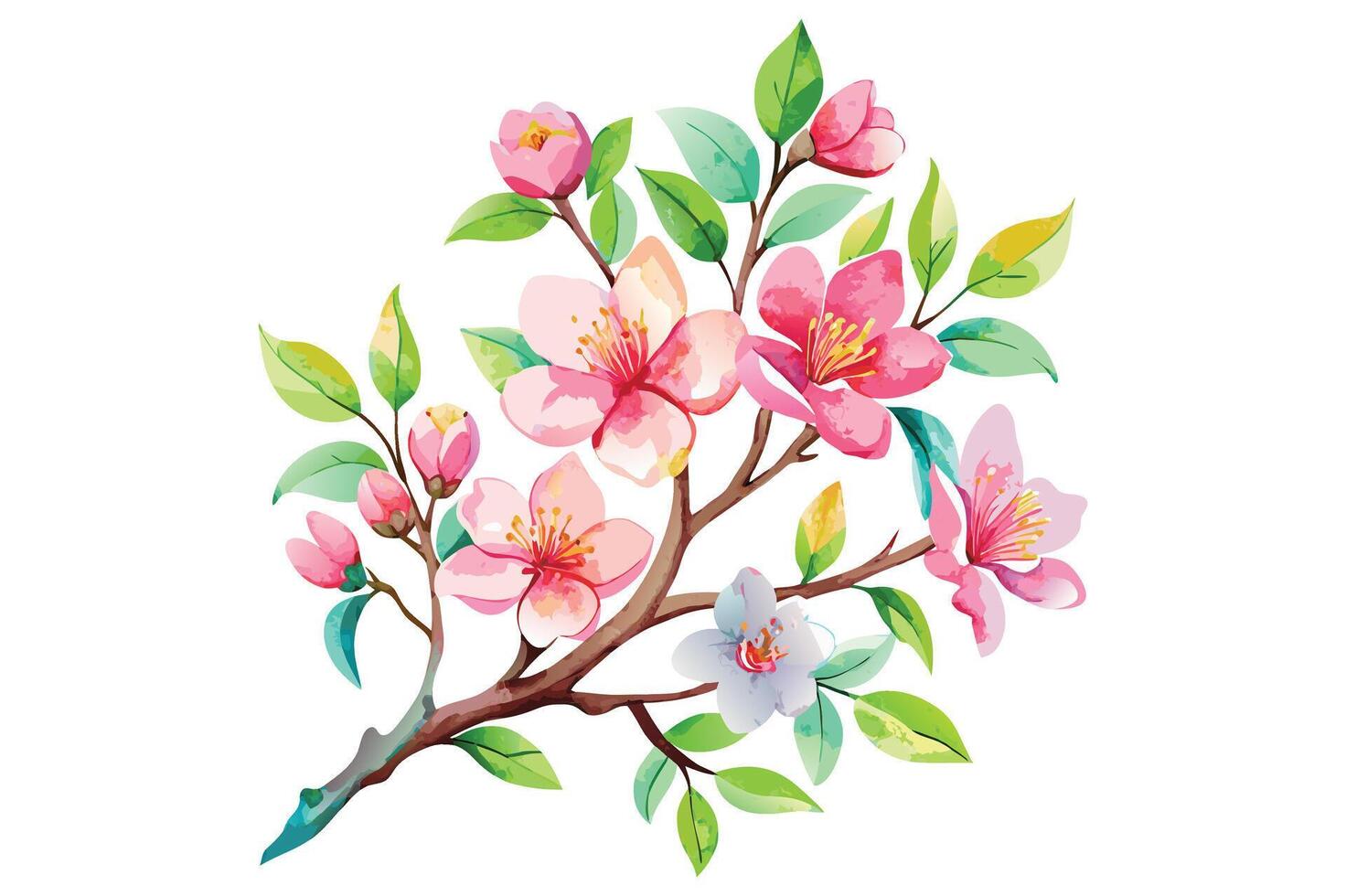 Watercolor exotic cherry blossom flower branch clipart vector