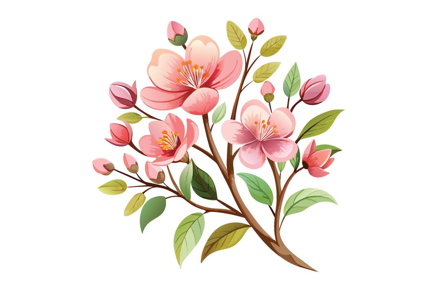 Watercolor exotic cherry blossom flower branch clipart vector