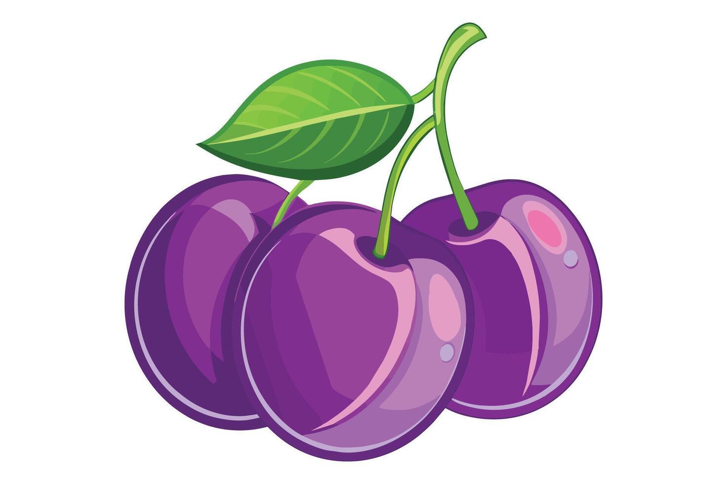 Purple color plum fruit vector