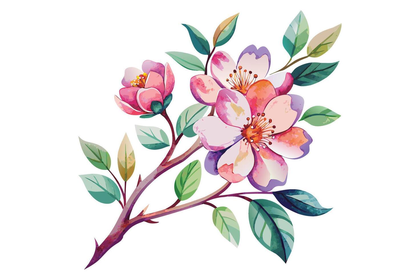 Watercolor exotic cherry blossom flower branch clipart vector