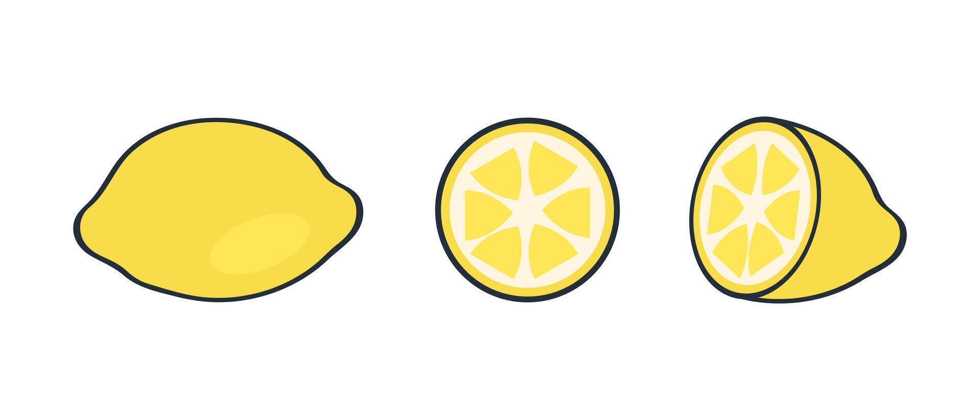 Doodle lemon slices set, flat fruit clipart collection. Hand drawn illustration for decor and design. vector