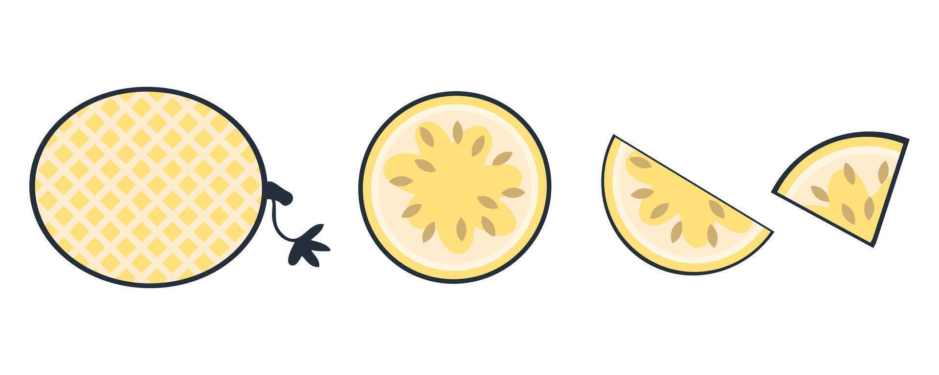 Doodle melon slices set, flat fruit clipart collection. Hand drawn illustration for decor and design. vector