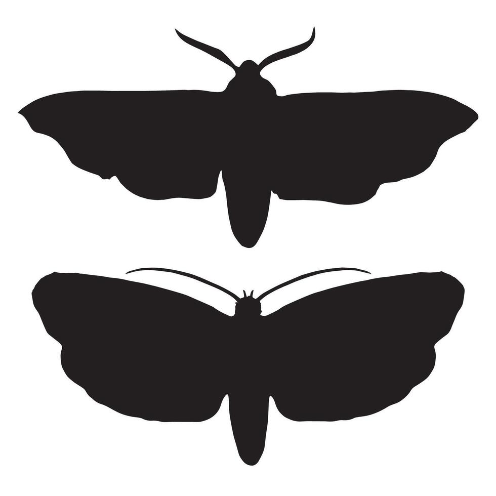 Moth Silhouette Illustration vector