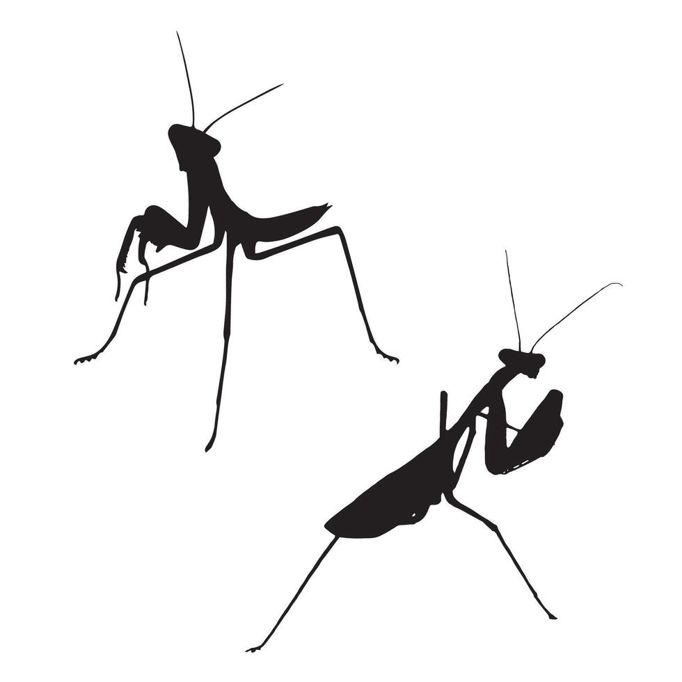 Illustration of Praying Mantis Silhouette vector