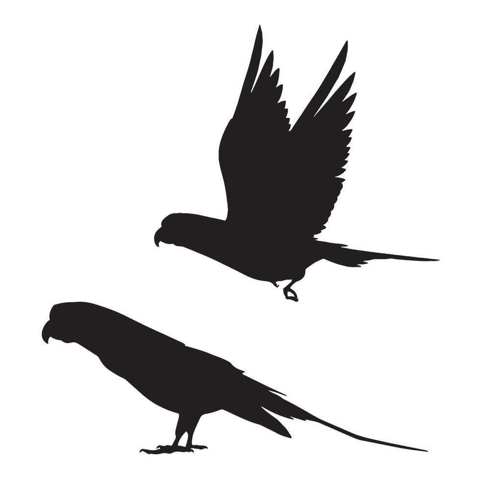 Illustration of Parrot Silhouette vector