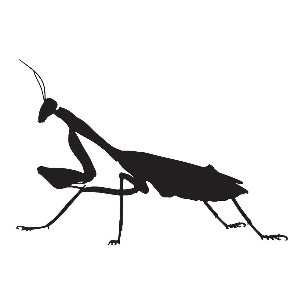 Illustration of Praying Mantis Silhouette vector