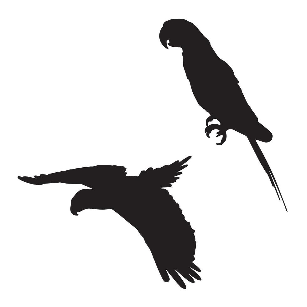 Illustration of Parrot Silhouette vector
