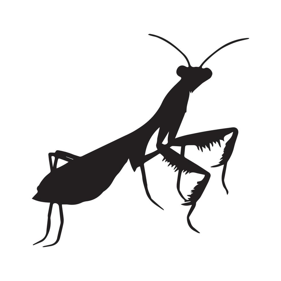 Illustration of Praying Mantis Silhouette vector