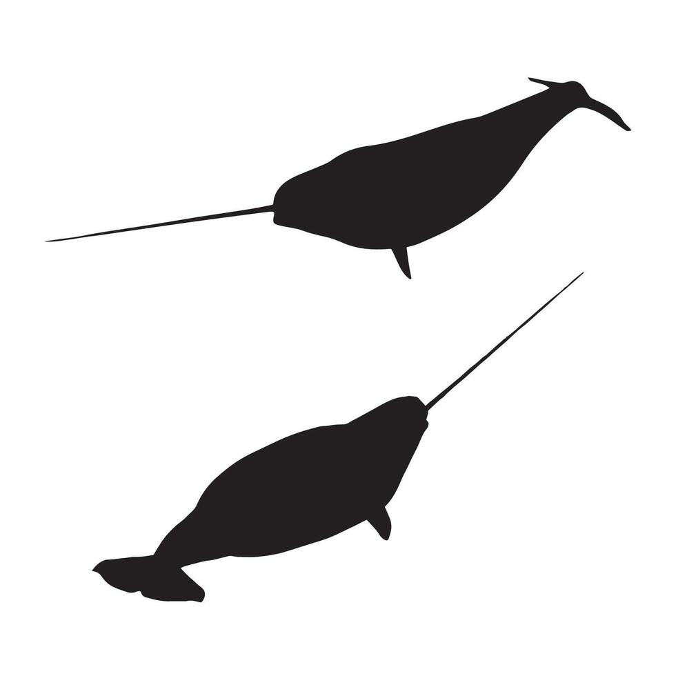 Illustration of Narwhal Silhouette vector
