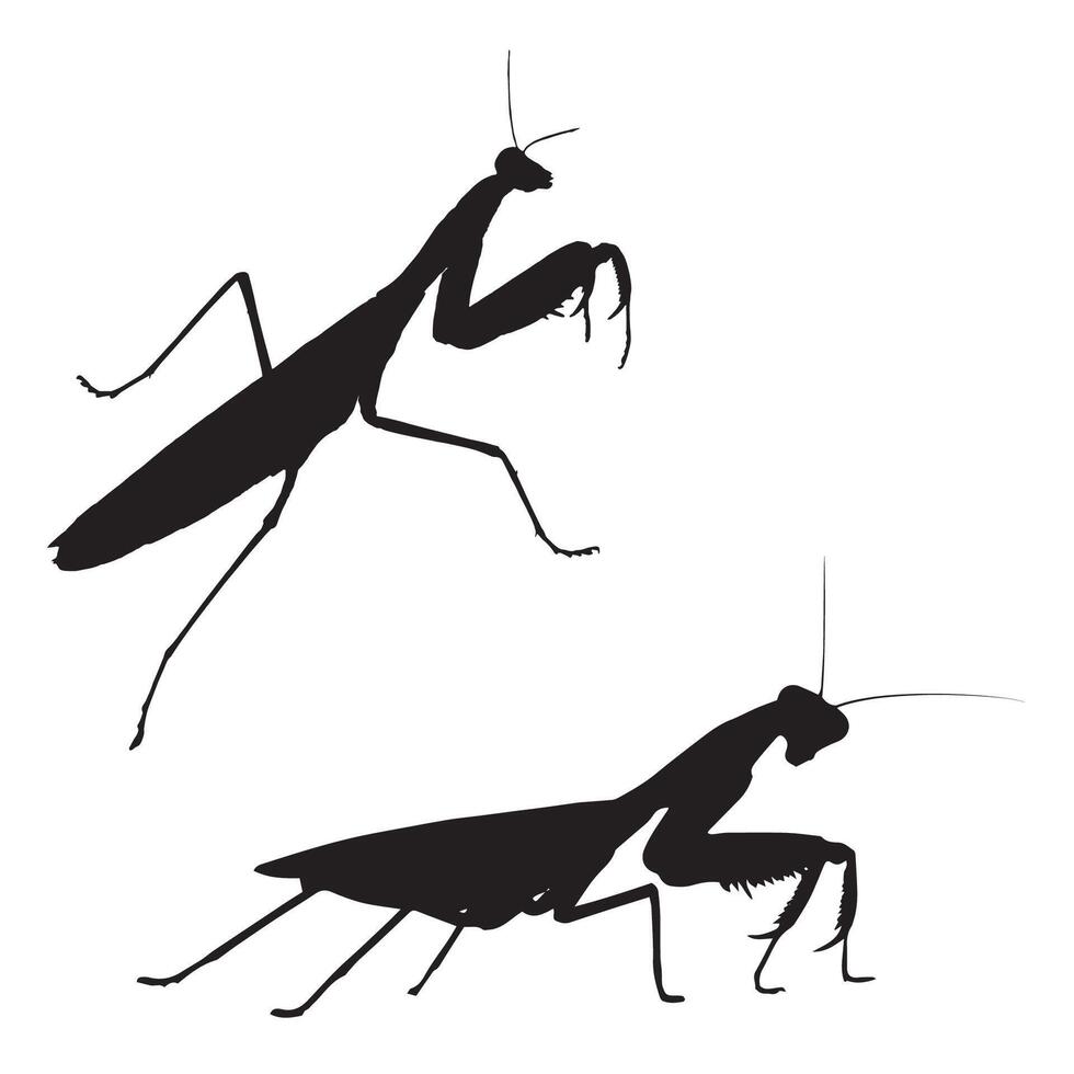 Illustration of Praying Mantis Silhouette vector