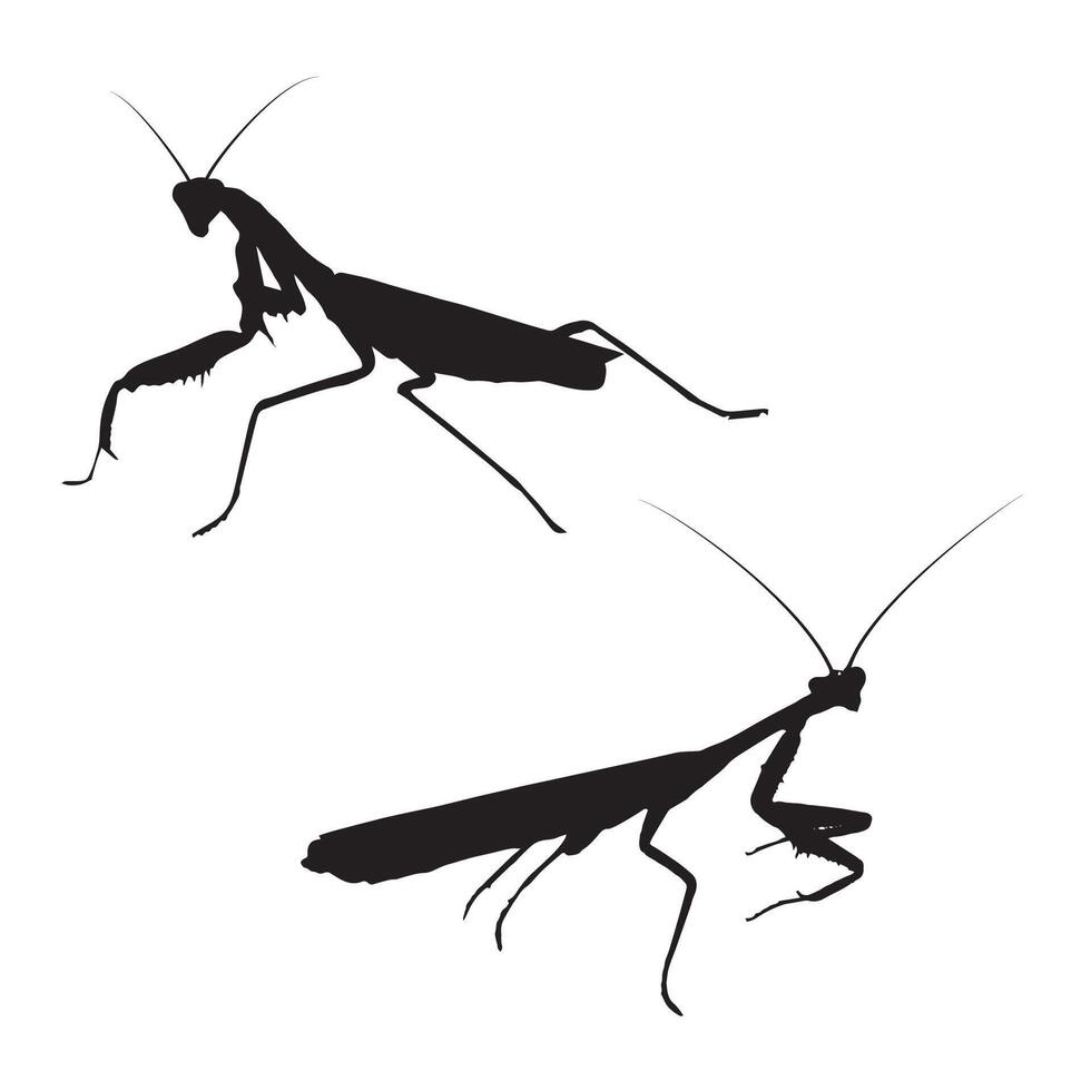 Illustration of Praying Mantis Silhouette vector