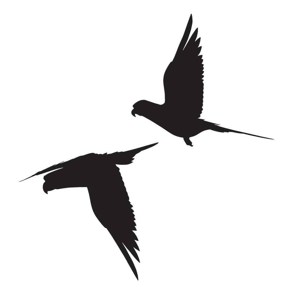 Illustration of Parrot Silhouette vector