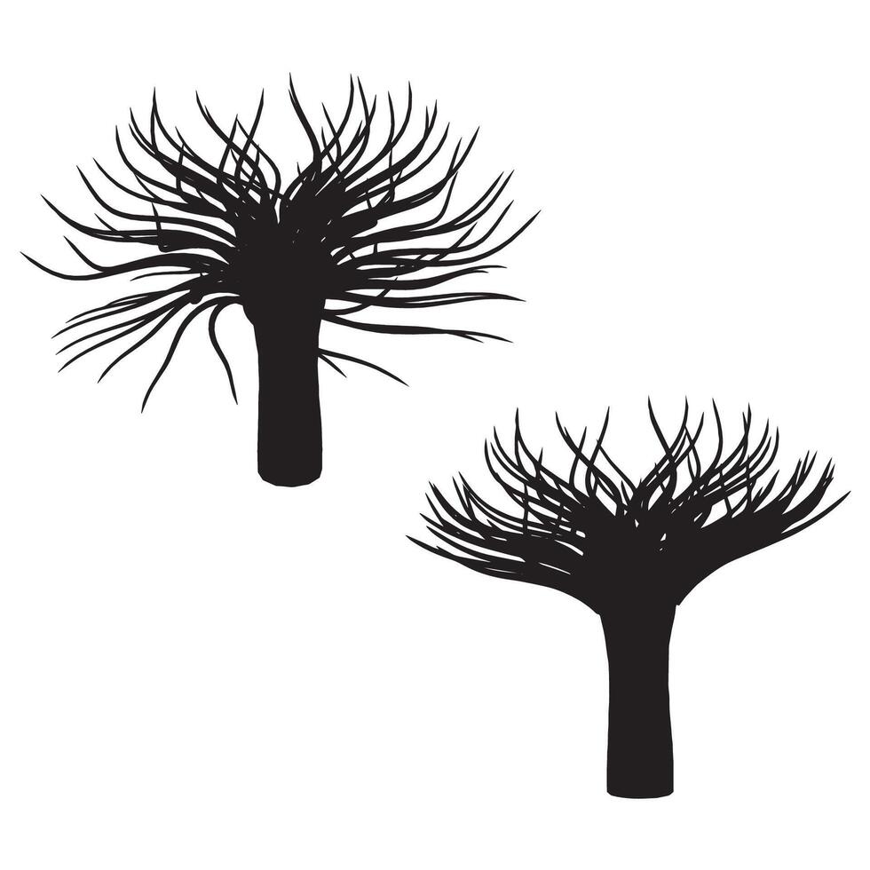 Sea Anemone Silhouette vector