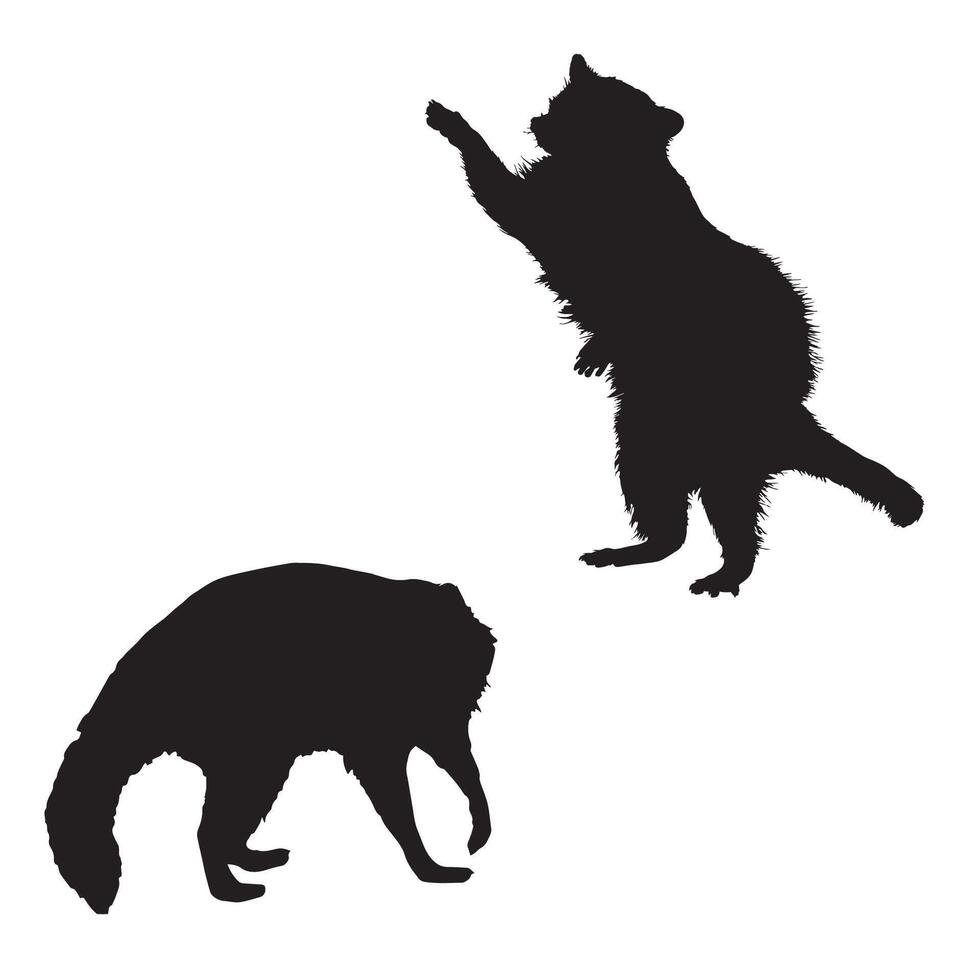 Illustration of Raccoon Silhouette vector