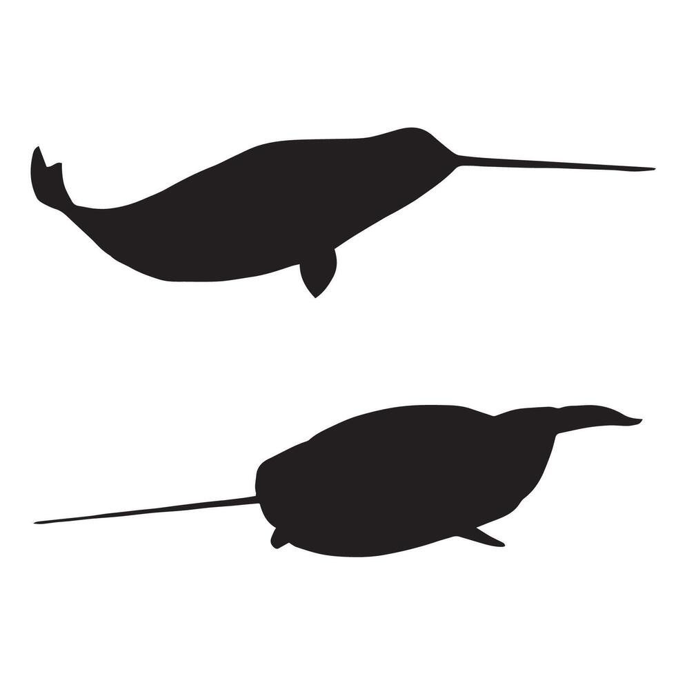 Illustration of Narwhal Silhouette vector