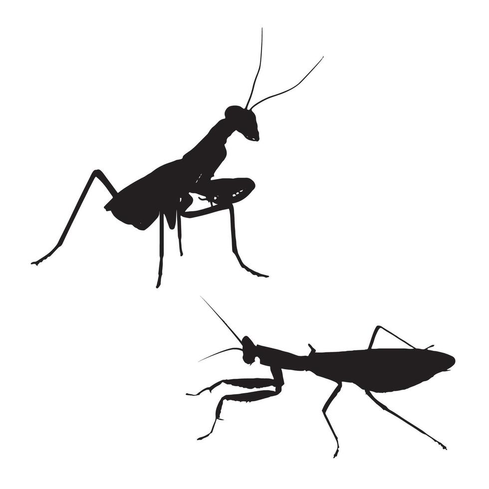 Illustration of Praying Mantis Silhouette vector