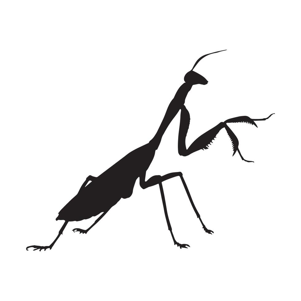 Illustration of Praying Mantis Silhouette vector
