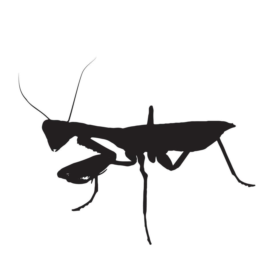 Illustration of Praying Mantis Silhouette vector