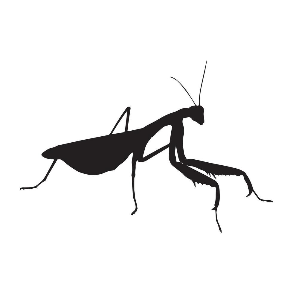 Illustration of Praying Mantis Silhouette vector