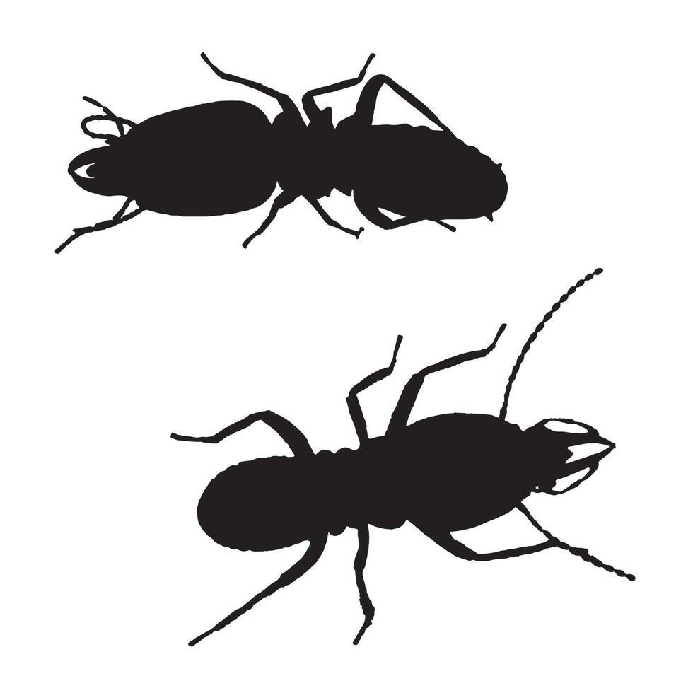 Illustration of Termite Art Silhouette vector