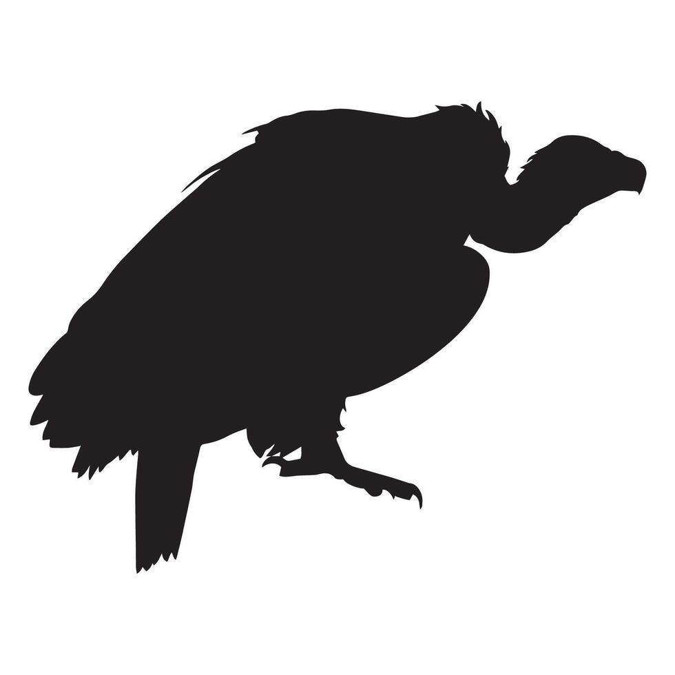 Vulture Silhouette Illustration vector