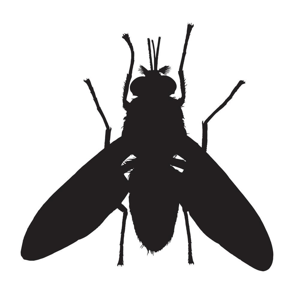 Illustration of Tsetse Fly Silhouette vector