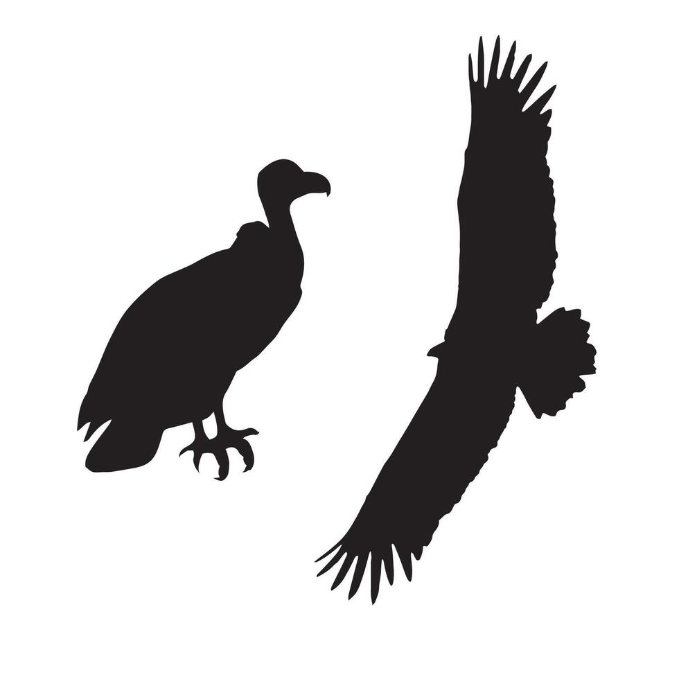 Vulture Silhouette Illustration vector
