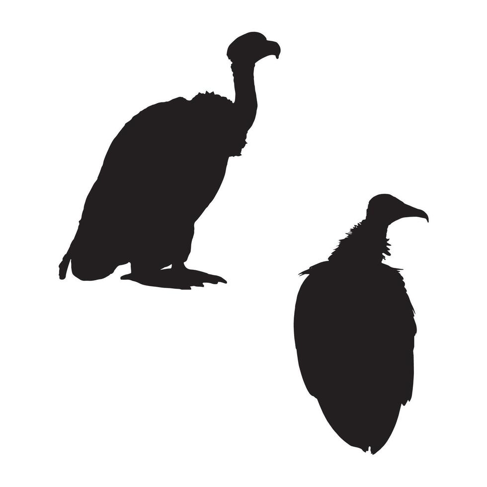 Vulture Silhouette Illustration vector
