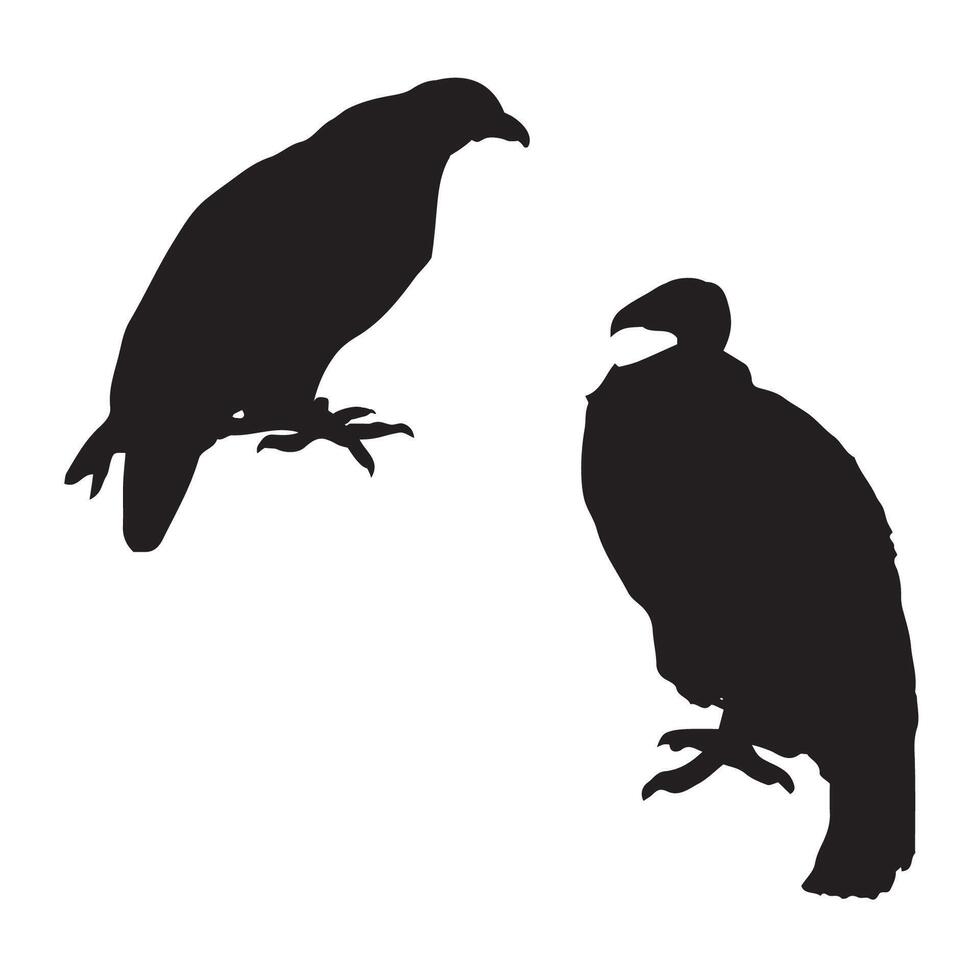 Vulture Silhouette Illustration vector