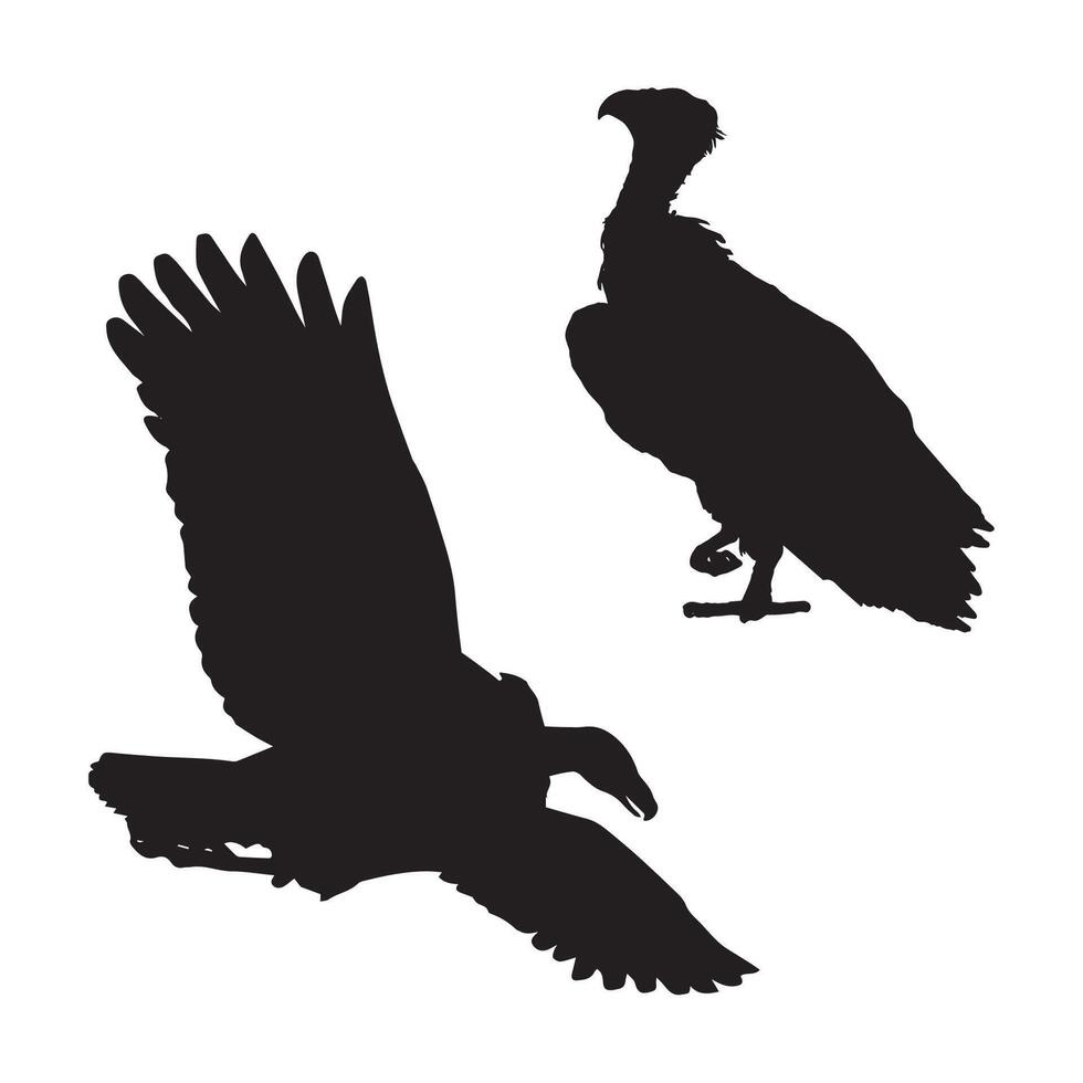 Vulture Silhouette Illustration vector