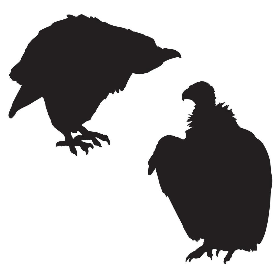 Vulture Silhouette Illustration vector