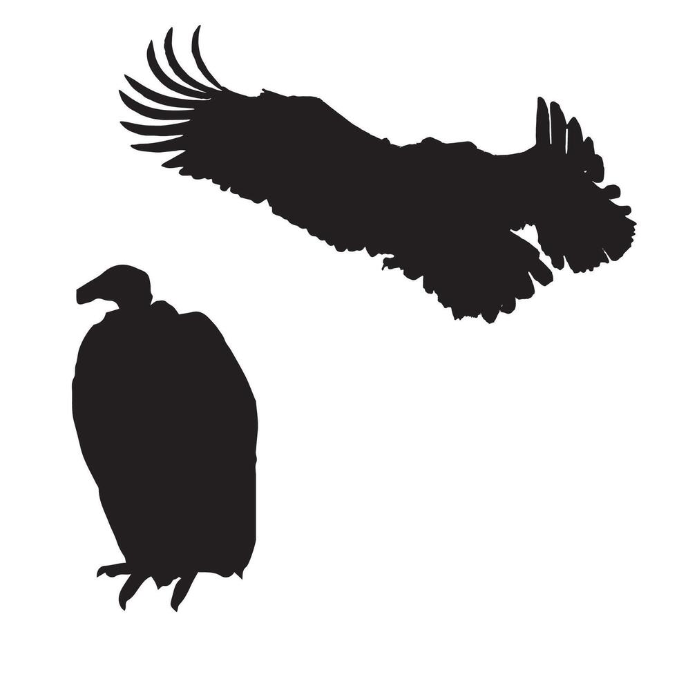 Vulture Silhouette Illustration vector