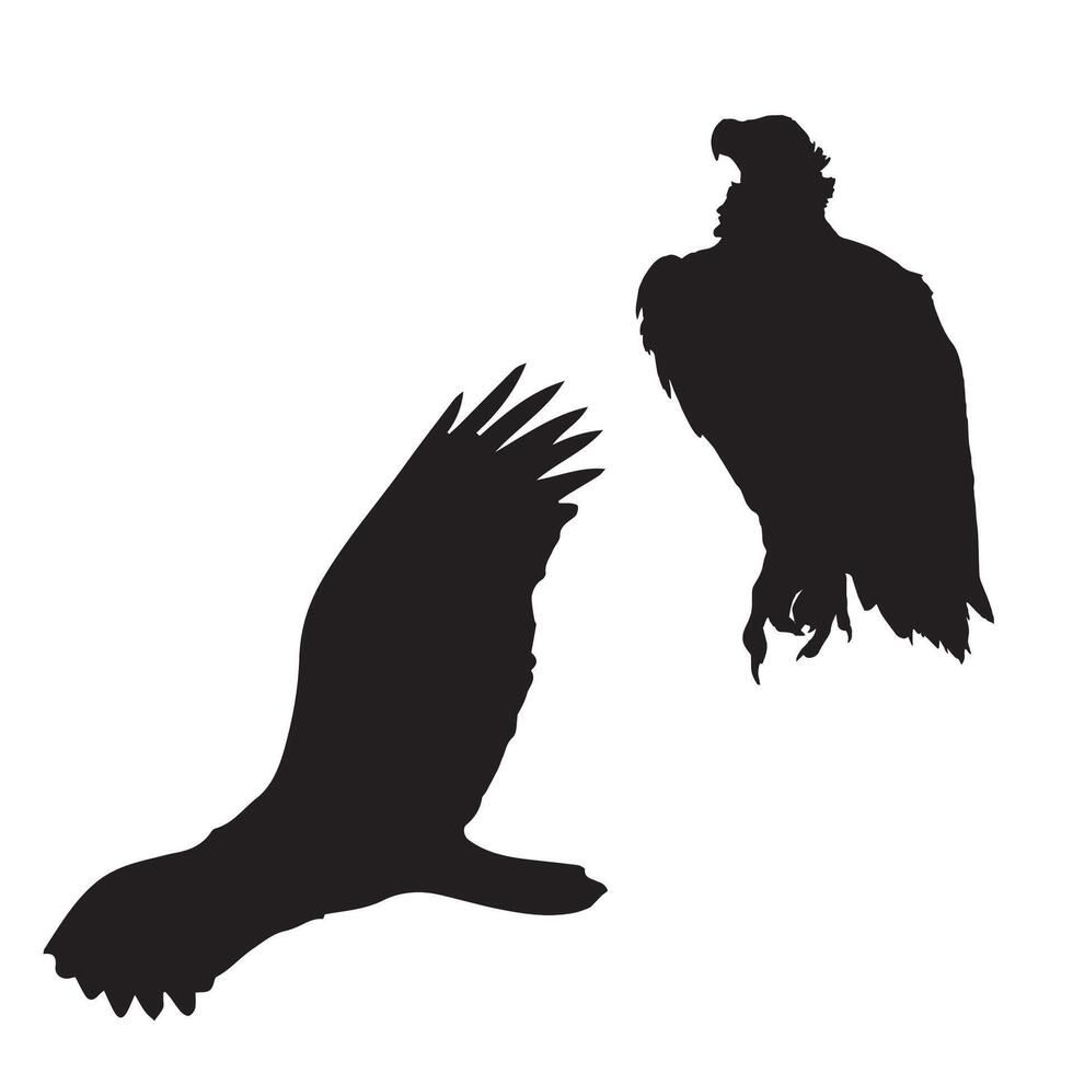 Vulture Silhouette Illustration vector