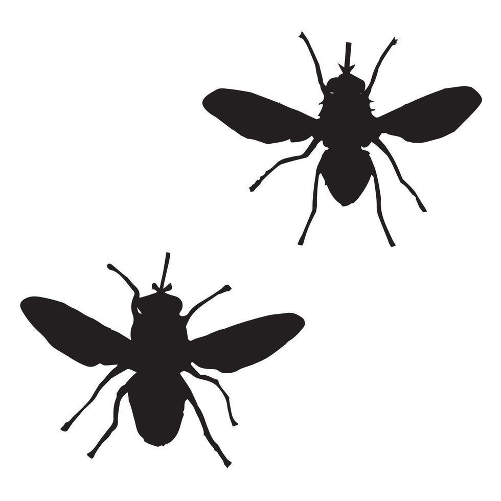 Illustration of Tsetse Fly Silhouette vector