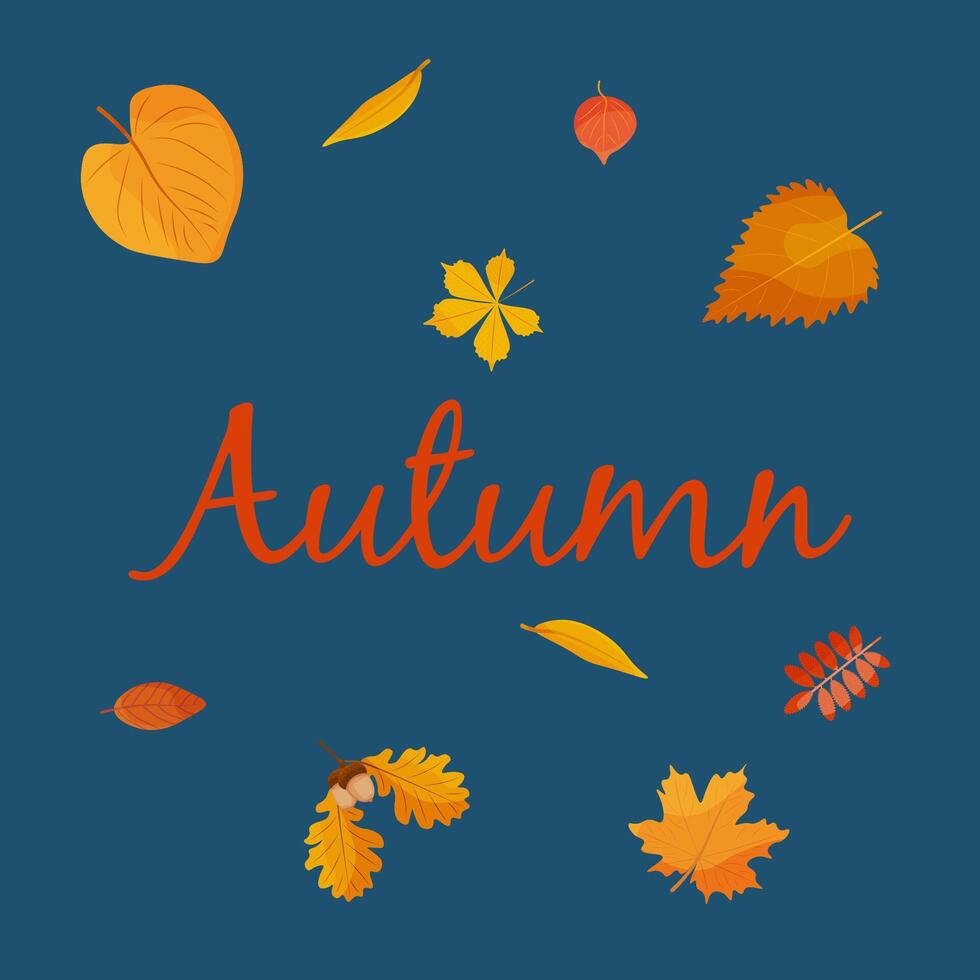 illustration of autumn falling leaves. Autumn foliage is falling. Autumn design. Templates for posters, banners, flyers, presentations. Autumn background. vector