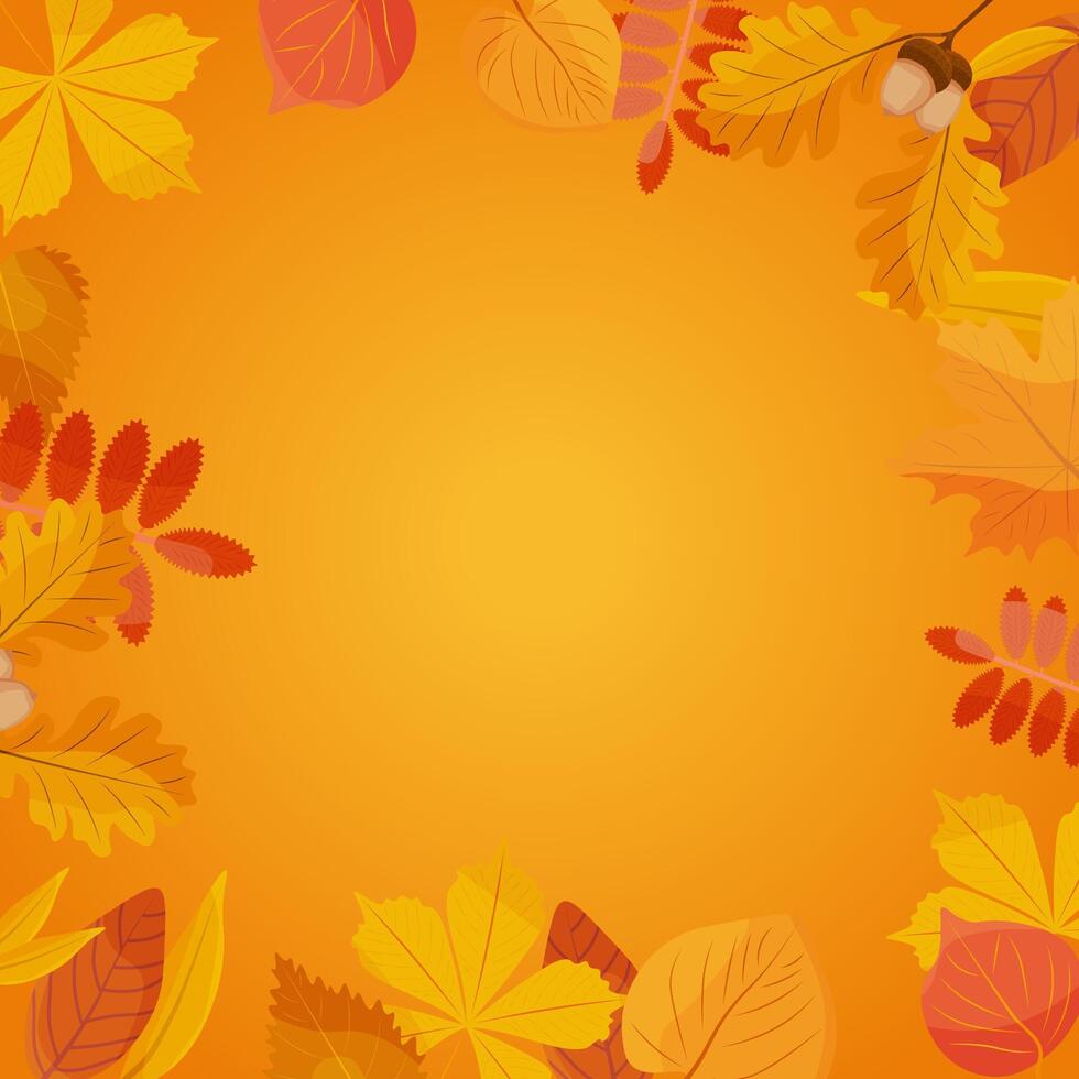 autumn banner. Autumn falling leaves. Empty frame. Autumn background. vector
