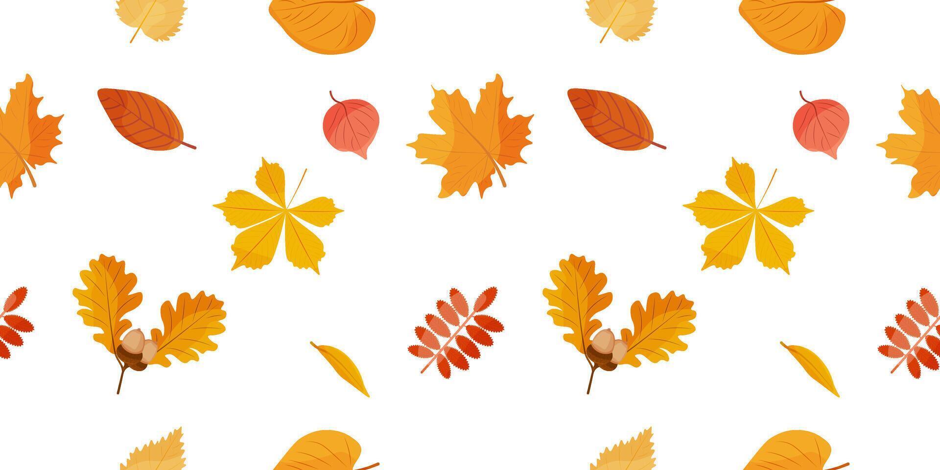 Seamless autumn pattern. Falling autumn leaves. In autumn, different leaves and plants, seasonal colors. Seamless background of leaf fall. Autumn pattern. illustration vector