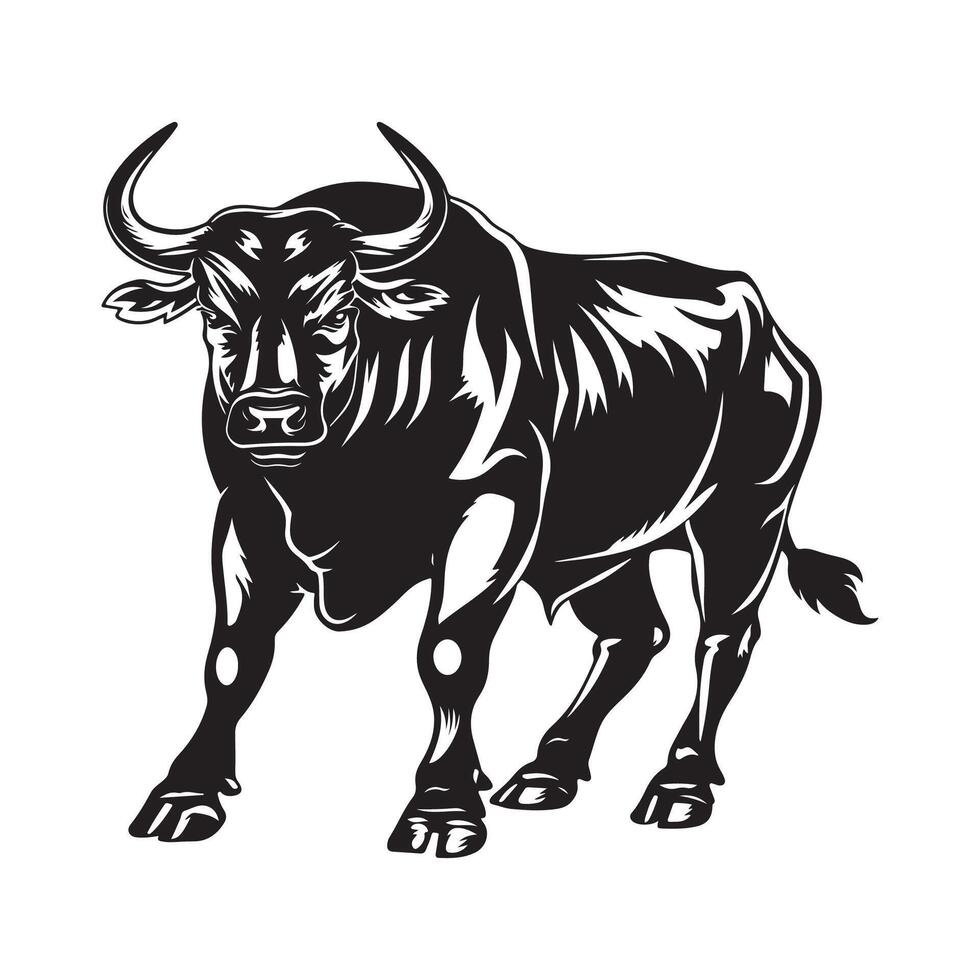 Bull illustration Images. Illustration of a Bull isolated on white background vector