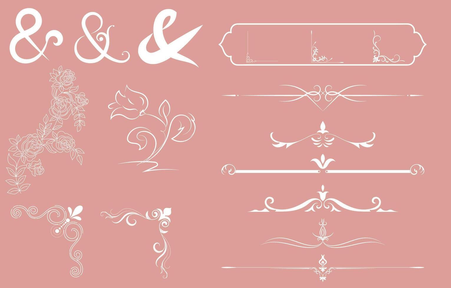 Wedding line set rose flower decoration card white vintage corner Paper dividers, vintage frame, on a pink background vector