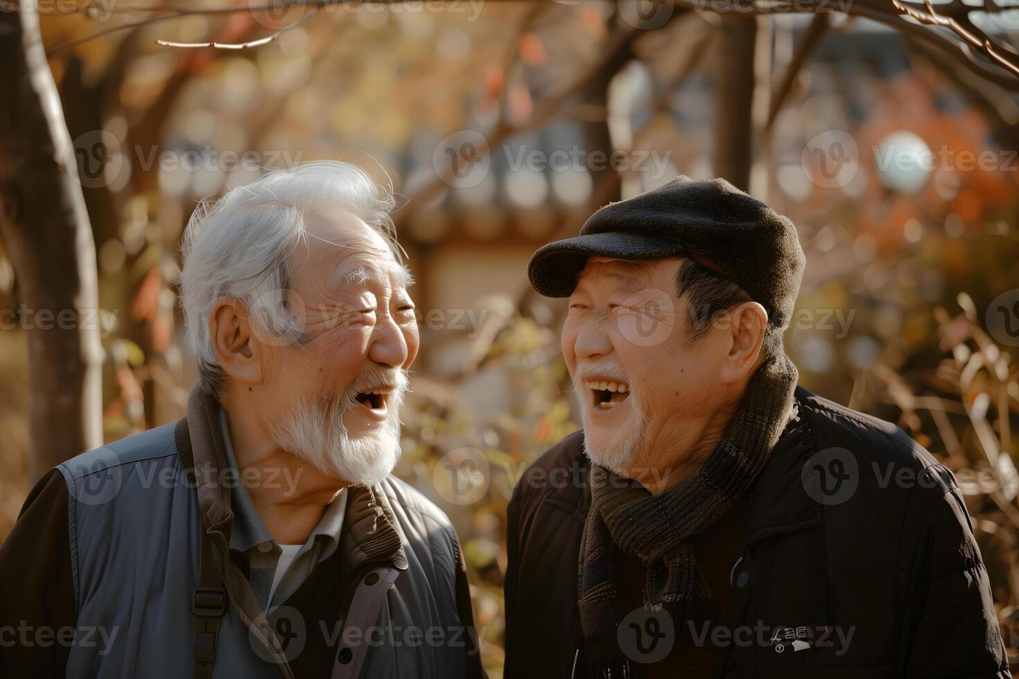 Two korean laughing elderly men enjoying a conversation in the park photo