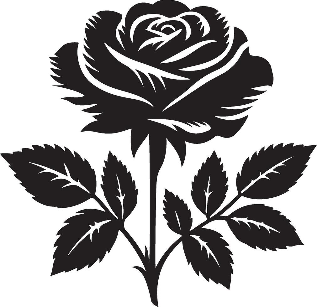 black rose flower illustration vector