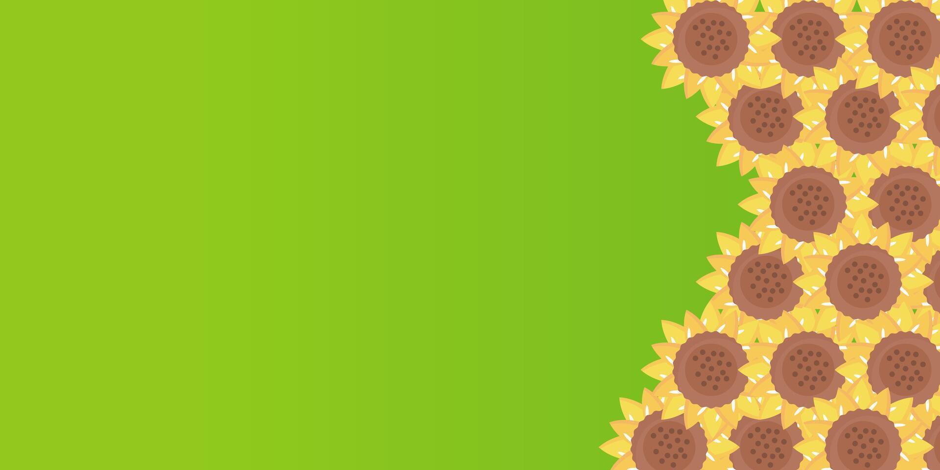 Summer green background with sunflower illustration. Design free copy space area vector