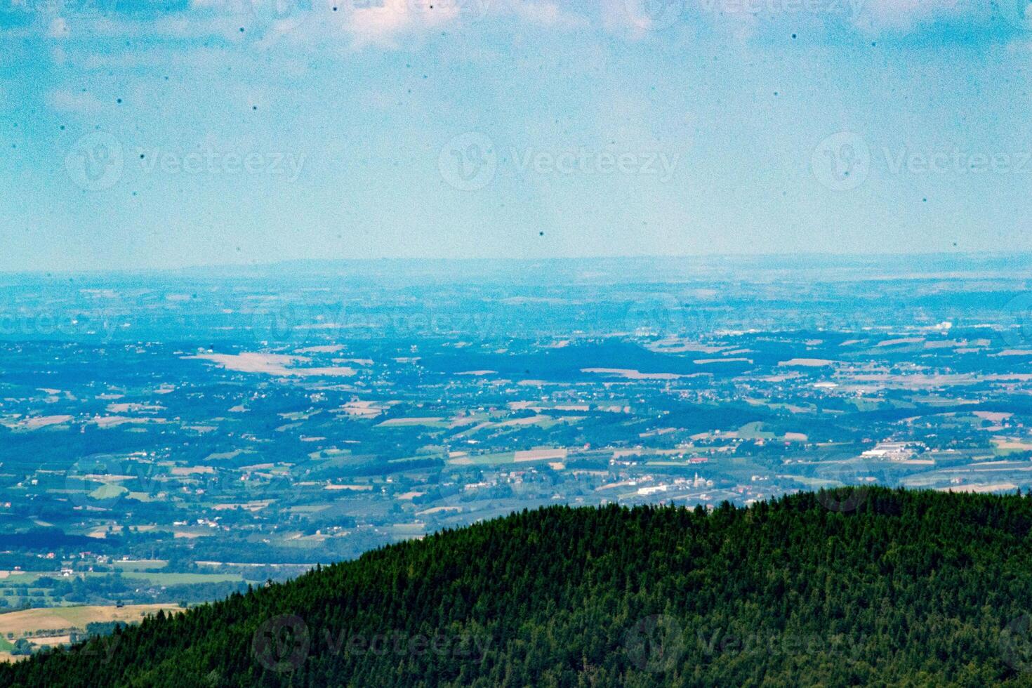 Green forest natural landscape on the mountain in summer. photo