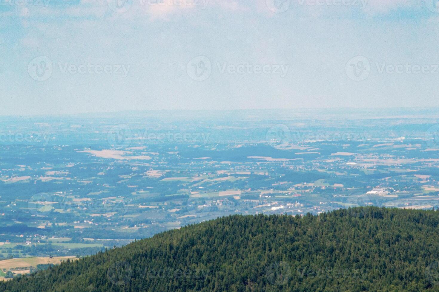 Green forest natural landscape on the mountain in summer. photo